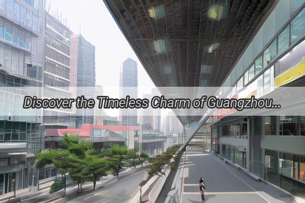 Discover the Timeless Charm of Guangzhou No3 High School A Journey to the Heart of the Citys Educational Legacy